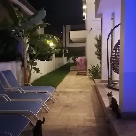 Camyuva Lueks * Ağva